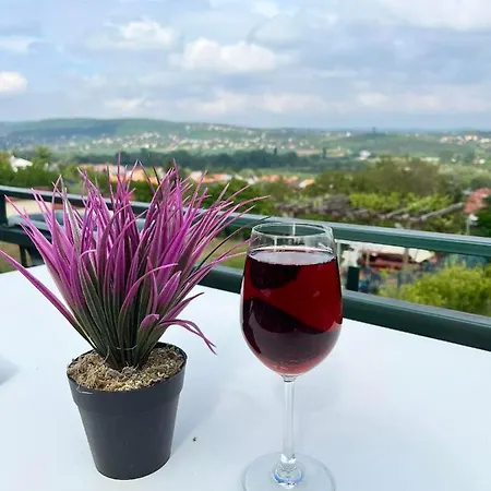 Fonix 2 Privat Apartman